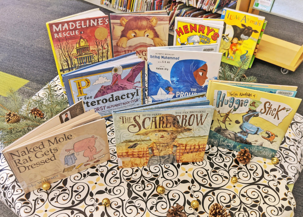 Picture Books For Older Kids Baldwin Public Library